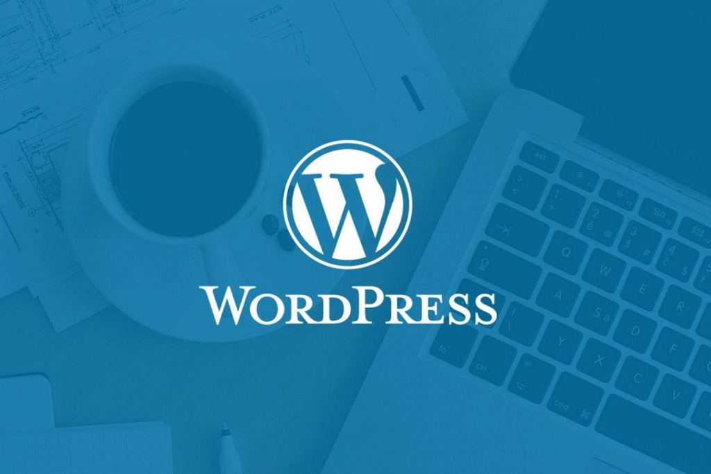 Professional WordPress Development in Dubai