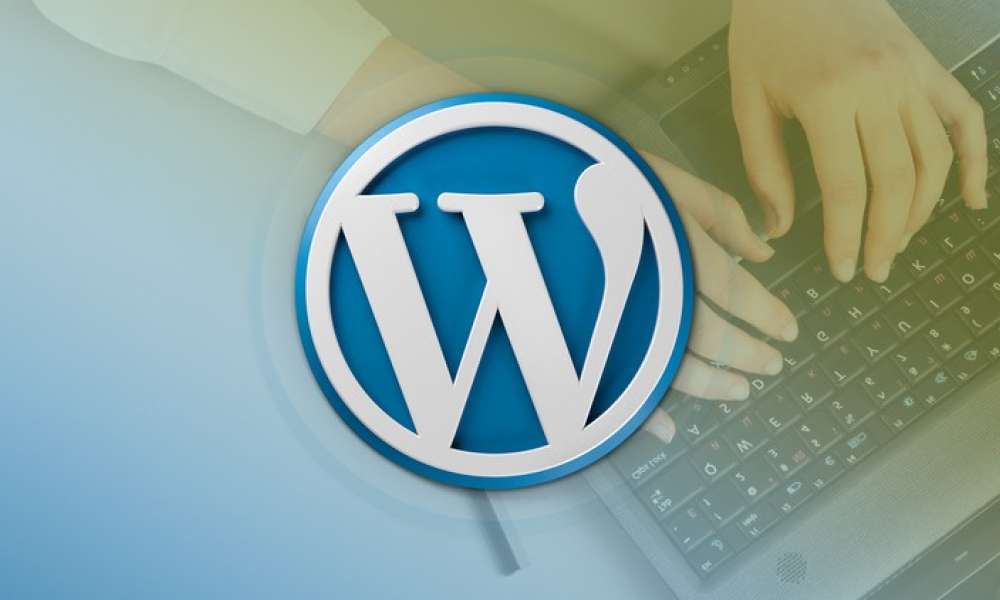 Professional WordPress Development in Dubai